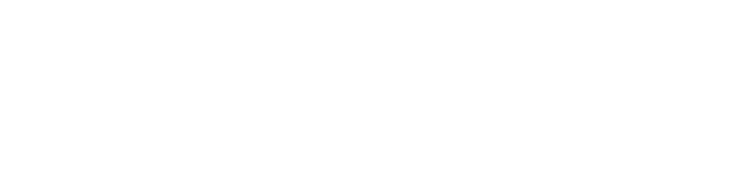 Bahigo logo transp