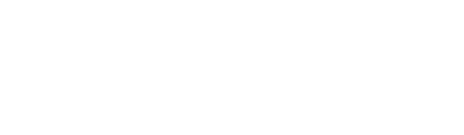 Wettigo logo